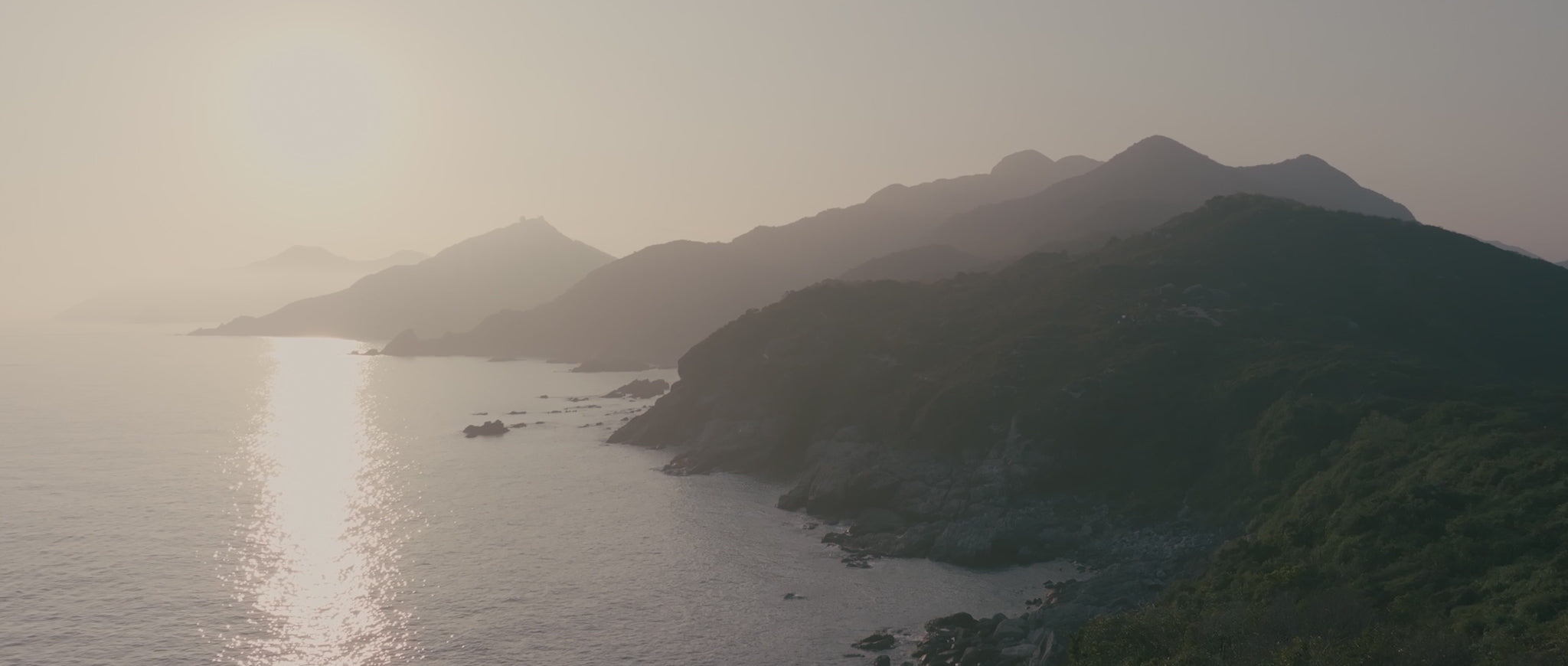 動画を読み込む